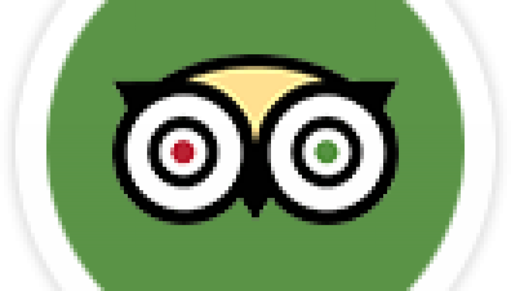icon-social-trip-advisor-1