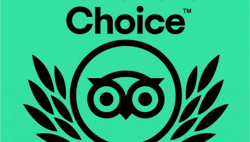 tripadvisor_2021_tc