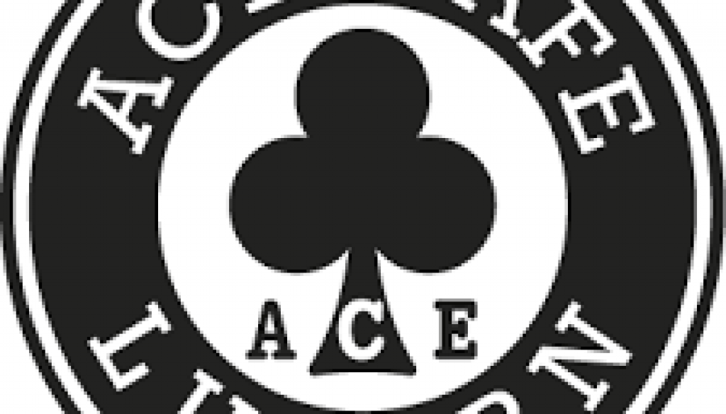 ace-cafe-luzern